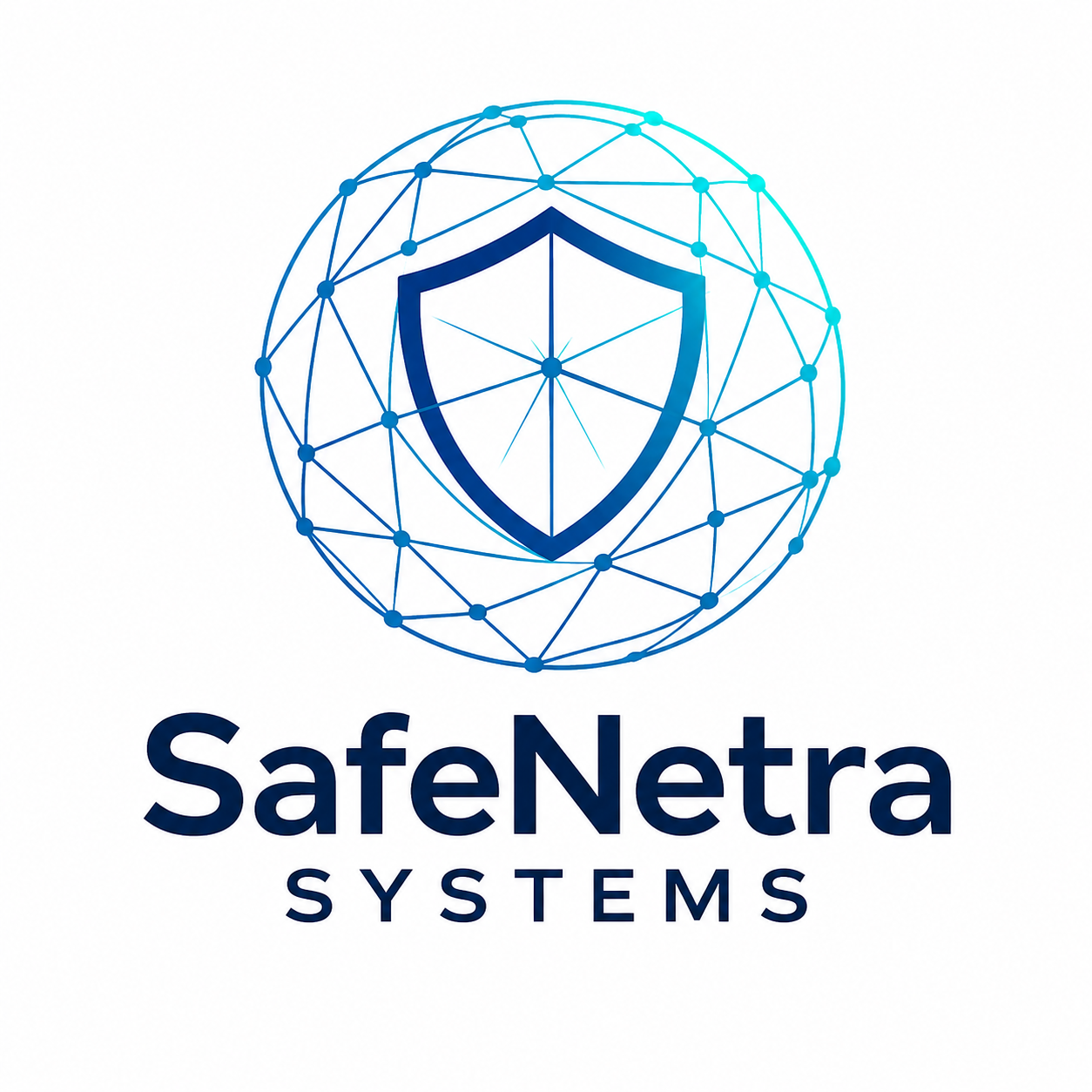 SafeNetra Systems